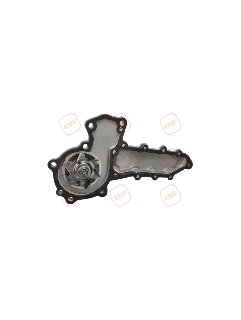 Vector 1800/1850/1950-type Water Pump